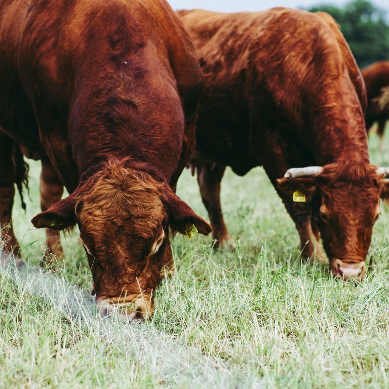 markus-spiske-997PUQcjbio-unsplash